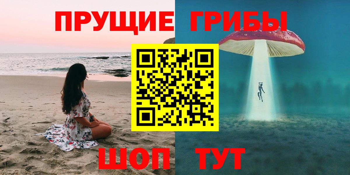 Галлюциногенные грибы GOLDEN TEACHER  дарнет шоп  Сунжа  Вход с VPN 